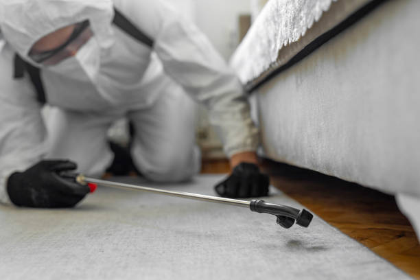 Professional Cockroach Control technician working in Chebanse, IL