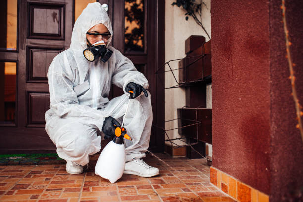 Reliable Cockroach Control contractor in Chebanse, IL by Nex Pest Control